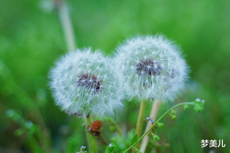 沉迷婚外情的人，用恶毒之心尽毁一切，令人扼腕叹息