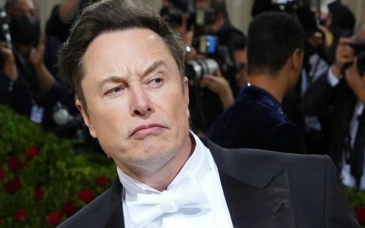 马斯克否认与谷歌创始人妻子有染:三年就见两次