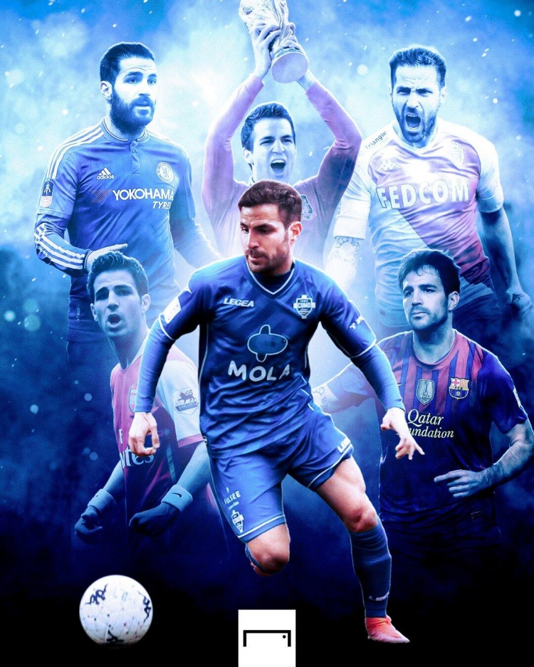 官方：35岁法布雷加斯加盟意乙球队科莫，双方签约两年