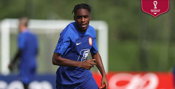 费林邦训练受伤