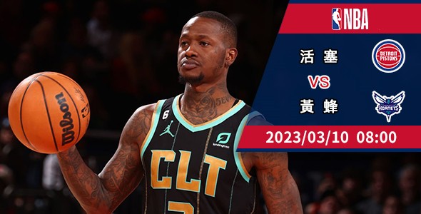 黄蜂挥军「活」力四射