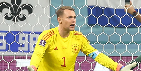 费历克力撑纽亚