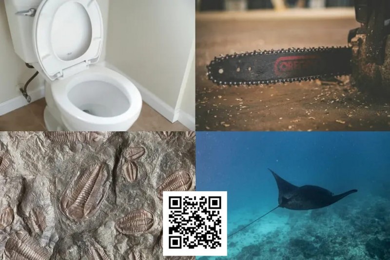 【EV扑克】扑克界谁的绰号最炸裂：电锯、魔鬼鱼、石化人、马桶？