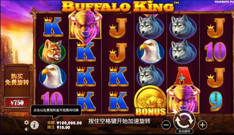 王者野牛——在大发娱乐感受草原霸主的内敛力量