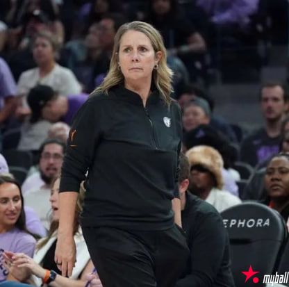 明尼苏达山猫队首次全球招聘，扩充前台团队，大发体育助力你的致富之路！