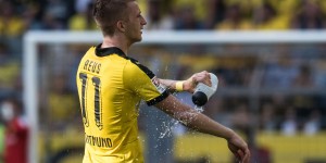 <?php the_title(); ?>