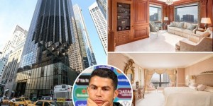 <?php the_title(); ?>