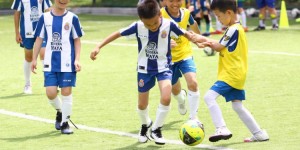 <?php the_title(); ?>