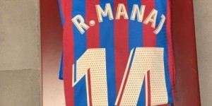 <?php the_title(); ?>