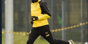 <?php the_title(); ?>