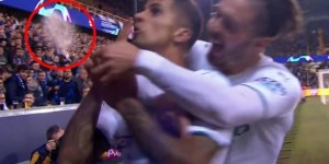 <?php the_title(); ?>