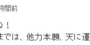 <?php the_title(); ?>