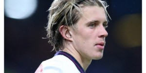 <?php the_title(); ?>