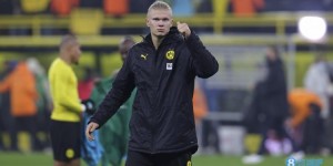 <?php the_title(); ?>