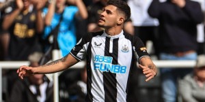 <?php the_title(); ?>