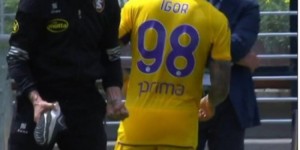 <?php the_title(); ?>