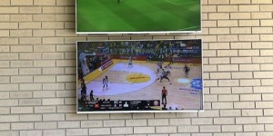 <?php the_title(); ?>