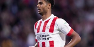 <?php the_title(); ?>