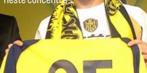 <?php the_title(); ?>