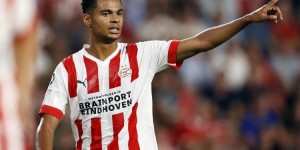 <?php the_title(); ?>