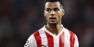 <?php the_title(); ?>