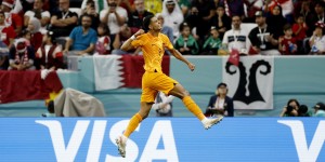 <?php the_title(); ?>