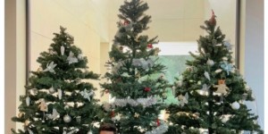 <?php the_title(); ?>