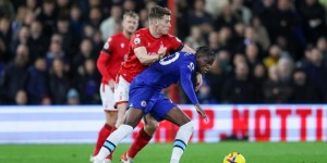 <?php the_title(); ?>