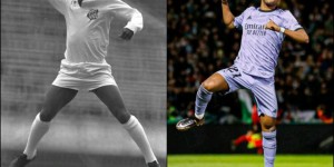 <?php the_title(); ?>