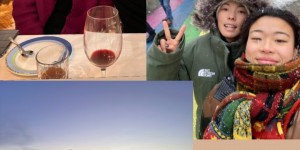 <?php the_title(); ?>