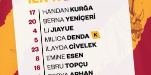 <?php the_title(); ?>