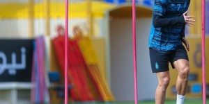 <?php the_title(); ?>