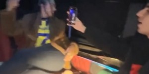 <?php the_title(); ?>