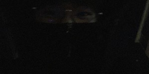 <?php the_title(); ?>