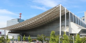 <?php the_title(); ?>