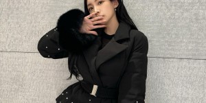 <?php the_title(); ?>