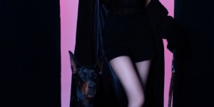 <?php the_title(); ?>