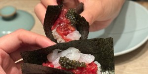 <?php the_title(); ?>