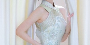 <?php the_title(); ?>