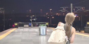 <?php the_title(); ?>