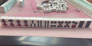 <?php the_title(); ?>