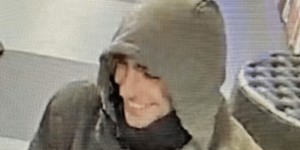 <?php the_title(); ?>