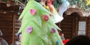 <?php the_title(); ?>