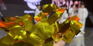 <?php the_title(); ?>