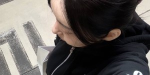 <?php the_title(); ?>