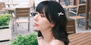 <?php the_title(); ?>