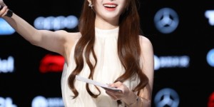 <?php the_title(); ?>