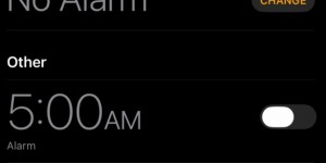 <?php the_title(); ?>