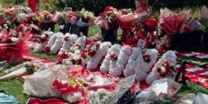 <?php the_title(); ?>