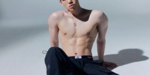 <?php the_title(); ?>